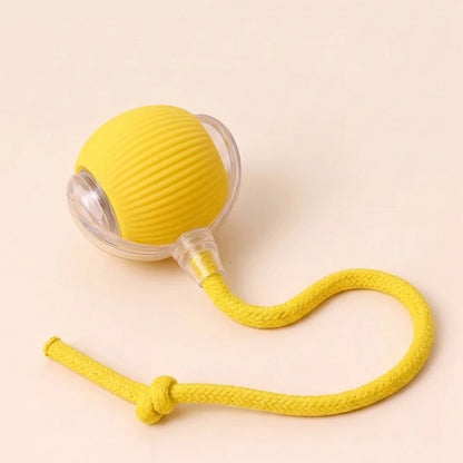 Vitalitysolutionmart™ - Ultimate Interactive Cat &amp; Dog Toy